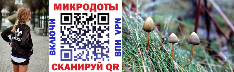 блэк спрут tor  даркнет сайт  Сурск  Псилоцибиновые грибы GOLDEN TEACHER 
