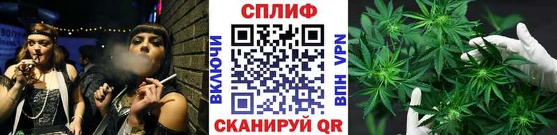 где купить наркотик  Сурск  Каннабис индика 